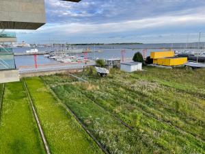 a field of grass next to a marina with boats at 2023 Luxury Sunset Sea view apartement in Tallinn