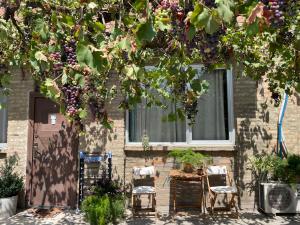 un gruppo di sedie sotto un albero con uva di Talaveri Apartment in Old Tbilisi a Tbilisi City