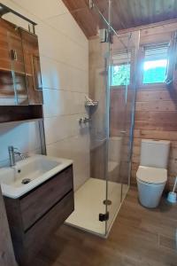 ein Bad mit einer Dusche, einem Waschbecken und einem WC in der Unterkunft Ferienhaus Nr 14, Typ A, Feriendorf Jägerpark, Bayerischer Wald in Viechtach