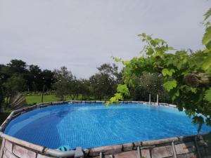 une grande piscine bleue dans une cour dans l'établissement Apartma Baladur, à Brezovica pri Gradinu