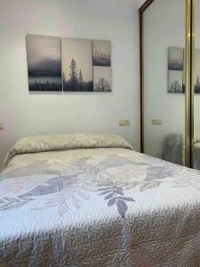 um quarto com uma cama com três fotografias na parede em Preciosa casa en Castro Urdiales em Castro-Urdiales
