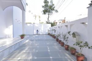 a hallway with potted plants on the side of a building at N.K. Heritage by T.C. Group in Udaipur