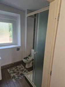 a bathroom with a toilet and a window at Penzion Dubí - Ruská 393 - 110 in Dubí