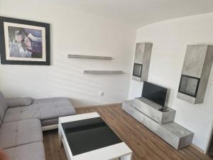 sala de estar con sofá y TV en Penzion Dubí - Ruská 393 - 110, en Dubí