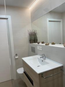 ein Badezimmer mit einem Waschbecken, einem WC und einem Spiegel in der Unterkunft Beach House Relax in Gran Alacant