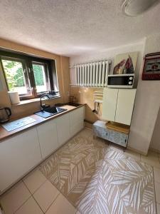 Kuchyňa alebo kuchynka v ubytovaní Osada Barbanica
