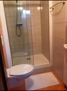 a bathroom with a shower and a toilet at Apartments Villa Lili in Umag