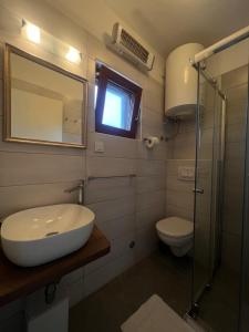 a bathroom with a sink and a toilet at Apartments Tomic in Premantura