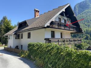 Příroda nedaleko apartmánu