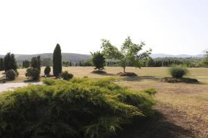 un champ avec des arbres et des buissons dans un champ dans l'établissement Ibituba Vendéglak, à Bogács
