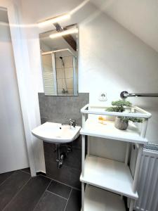 een badkamer met een wastafel en een spiegel bij Winterberg Appartement 21105 in Winterberg