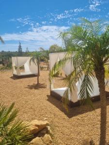 duas tendas no deserto com uma palmeira em Eco Cabin - Villa das Alfarrobas em Algoz