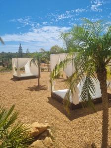 two tents in the desert with a palm tree at Villa Das Alfarrobas Eco Design Cabin in Algoz