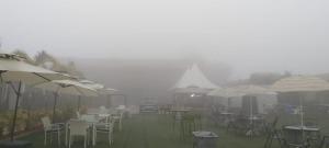 Φωτογραφία από το άλμπουμ του FOCUS CLUB AND RESORT σε Rānchī +49 φωτογραφίες