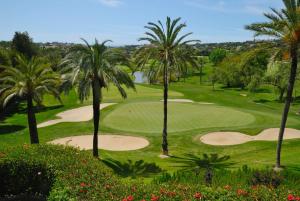 オリフエラ・コスタにあるTerrazas de Campoamor 3056のヤシの木が茂るゴルフコースの景色を望めます。