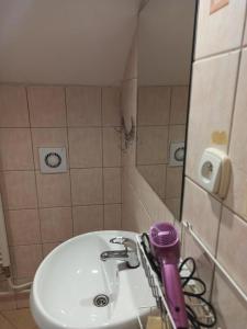 a bathroom with a sink and a purple hair dryer at Penzión Nezábudka in Stropkov