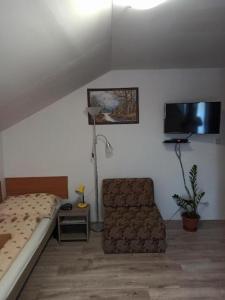 ein Schlafzimmer mit einem Bett, einem Stuhl und einem TV in der Unterkunft Penzión Nezábudka in Stropkov