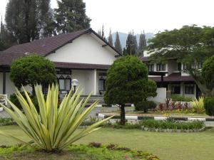 Zahrada ubytování Hotel Sibayak Internasional