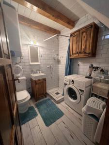 a bathroom with a toilet and a washing machine at Villa Tomitorija in Kaprije +10 photos