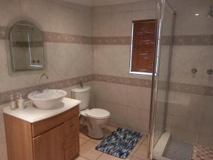 a bathroom with a toilet and a sink and a shower at 19 on Kruger in Colesberg
