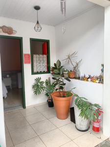 a room with potted plants on the wall at Toca do Lobo in Pirenópolis