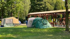 a group of tents on the grass in a park at Kemping Obora in Racibórz