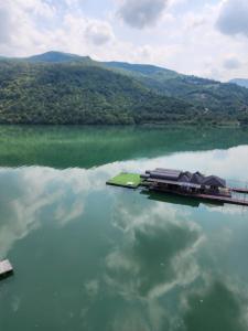 維謝格拉德的住宿－Panorama Resort，一大片水,里面有一个码头