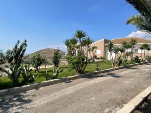 eine leere Straße mit Palmen und einem Gebäude in der Unterkunft Coste Ponente Appartamenti Turistici in Ragusa