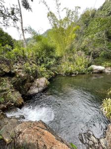 a stream in the middle of a forest with rocks at Starlight Chalet & Health Spa in Spa Spring