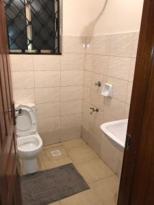 a bathroom with a toilet and a sink at PASWELL'S HOMES 3 Bedroom Apartment at Greatwall Gardens in Athi River