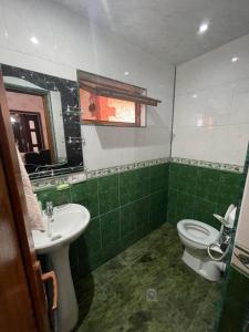 a green and white bathroom with a toilet and a sink at Eliz Garden in Kutaisi