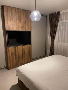 Schlafzimmer mit einem Bett und einem Flachbild-TV in der Unterkunft GAVAS APARTMENTS - Jacuzzi & Panoramic View in Cluj-Napoca