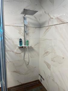 y baño con ducha con cabezal de ducha. en Appartement Architektenhaus - Pool - Fernsicht, en Lannach