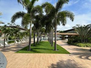 una fila di palme in un parco di Ilê de Pipa Resort a Pipa