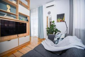 een woonkamer met een bank en een tv bij City Center Studio - Comfy & Modern in Bratislava