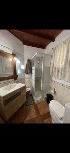 a bathroom with a sink and a shower and a toilet at Casa de colon in Los Silos