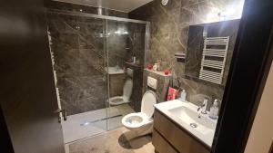 日內瓦的住宿－Spacious Apartment in luxurious Villa-Geneva，带淋浴、卫生间和盥洗盆的浴室
