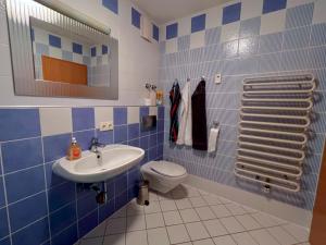 Un baño con azulejos azules, inodoro y lavabo. en Ferienwohnung BAYERNRING, en Breitenbrunn 19 fotos más