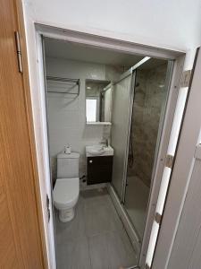 a small bathroom with a toilet and a shower at Güven House İstanbul in Istanbul