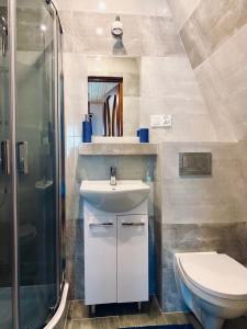 a bathroom with a sink and a shower and a toilet at Agroturystyka SKALNE in Szczawa