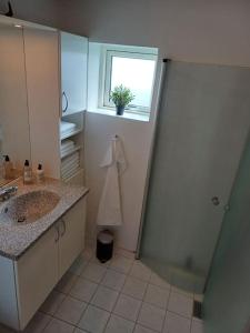 La salle de bains est pourvue d'un lavabo, d'une douche et d'une fenêtre. dans l'établissement Bjergby Sønderbo feriehus, à Bjergby