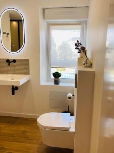 baño con aseo y lavabo y ventana en Le Cattleya, studio cosy à Rennes, en Rennes
