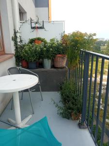 Balkon lub taras w obiekcie NightHost Kleczkowska 49 m53 Wrocław