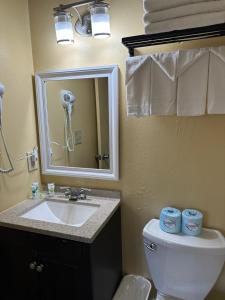 a bathroom with a sink and a toilet and a mirror at Swiss Chalets Village Inn in North Conway