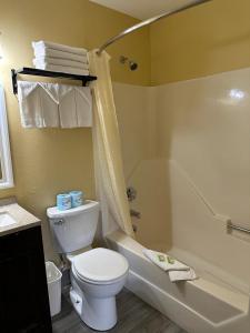 a bathroom with a toilet and a tub and a sink at Swiss Chalets Village Inn in North Conway