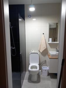 a small bathroom with a toilet and a shower at Banesa ne qender te Pejes 2 in Peje