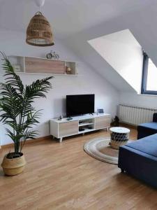 een woonkamer met een televisie en een potplant bij Apartamento El Picu in Collanzo