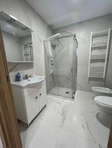 La salle de bains est pourvue d'une douche, d'un lavabo et de toilettes. dans l'établissement Villa Milano Apt. n. 2, à Milan