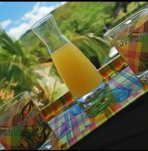 Joogid majutusasutuses Ti'bakoua à Sainte-luce Plage et piscine
