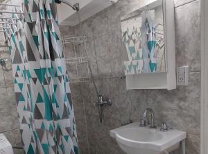 La salle de bains est pourvue d'un lavabo et d'un rideau de douche. dans l'établissement Departamento Yekamush 2 Ushuaia, à Ushuaia